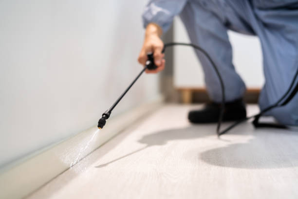 Licensed Pest Control service in Rutgers University-Livingston Campus, NJ - Show Me Pest Control